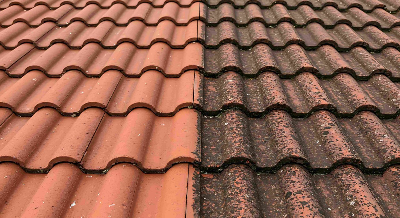Before and after tile roof cleaning showing black streak and algae removal